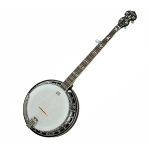 Washburn Banjo Washburn Banjo